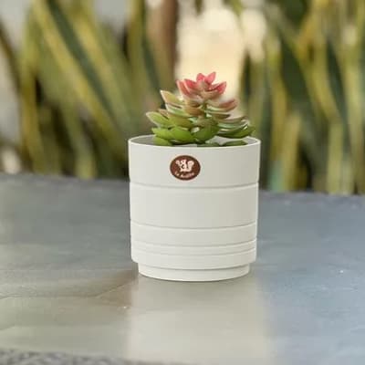 maceta-amalfi-blanco-niebla-20-cm-40359-thumb-2