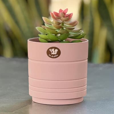 maceta-amalfi-rosa-satin-28-cm-40366-thumb-1