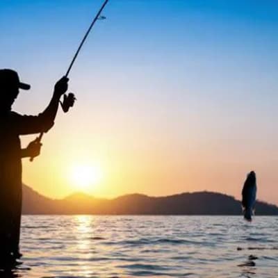 cana-de-pesca-telescopica-con-kit-df103-40396-thumb-1