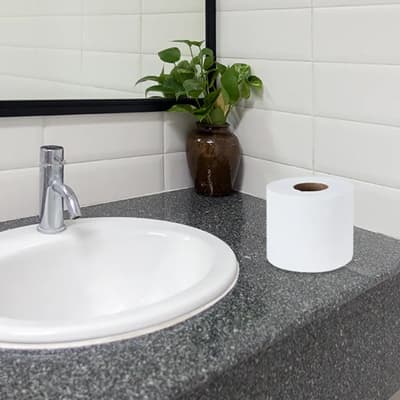 papel-higienico-tradicional-chico-advanced-hd-7001-40949-thumb-1