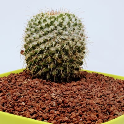 tezontle-piedra-volcanica-rojo-28-l-33606-thumb-1