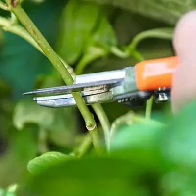 tijeras-para-poda-stihl-40160-thumb-2