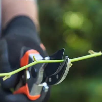 tijeras-para-poda-stihl-40160-thumb-3
